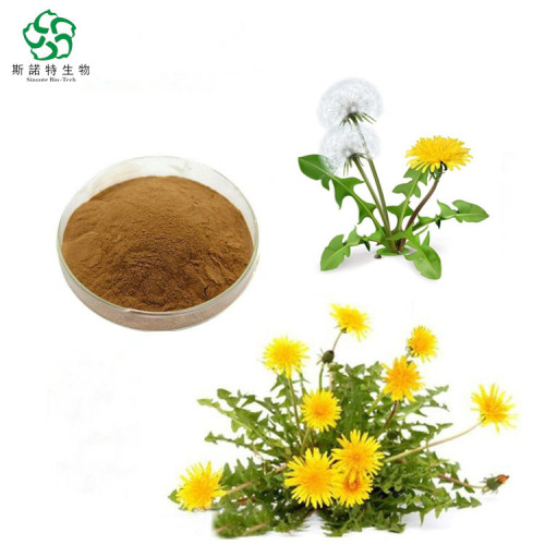 Food Grade Dandelion Extract Powder For Liver Disease