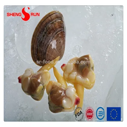 Frozen IQF Surf clam meat gutted