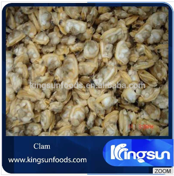 Frozen Short Necked Clam Without Shell