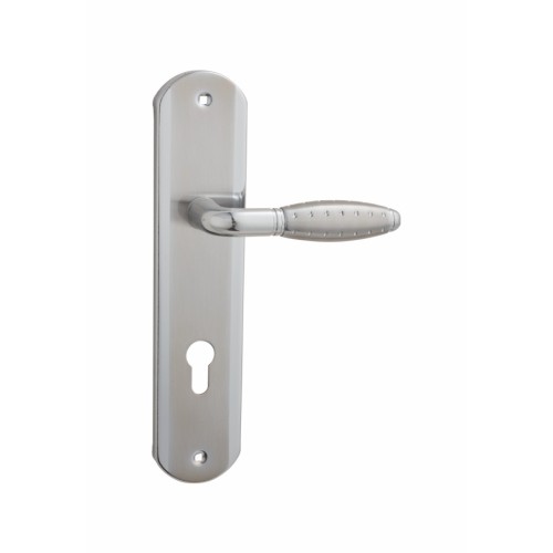 Fashionable corrosion resistant door handles on plate