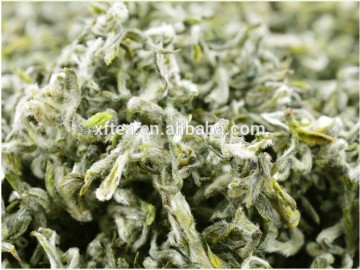 green tea export/green tea manufacturer/wholesale green tea
