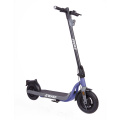 Bagong Disenyo 10inch 350W Electric Scooter