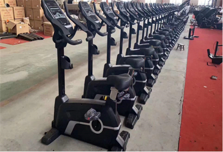 Gym Equipment for Commercial Use (5)