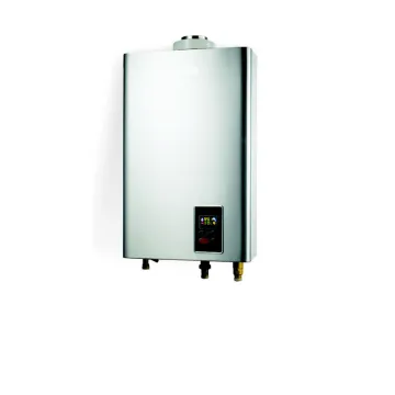 Instant NG/LPG Forced Exhaust Gas Water Heater for Home Appliances