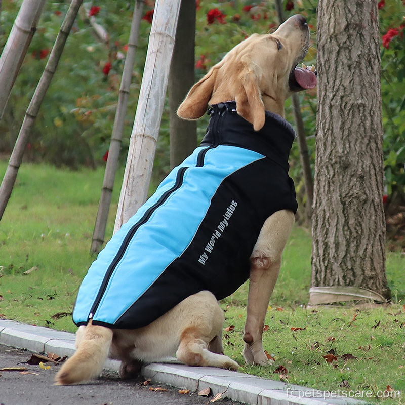 Huisse de chien respirant en gros harnais de chien tigre