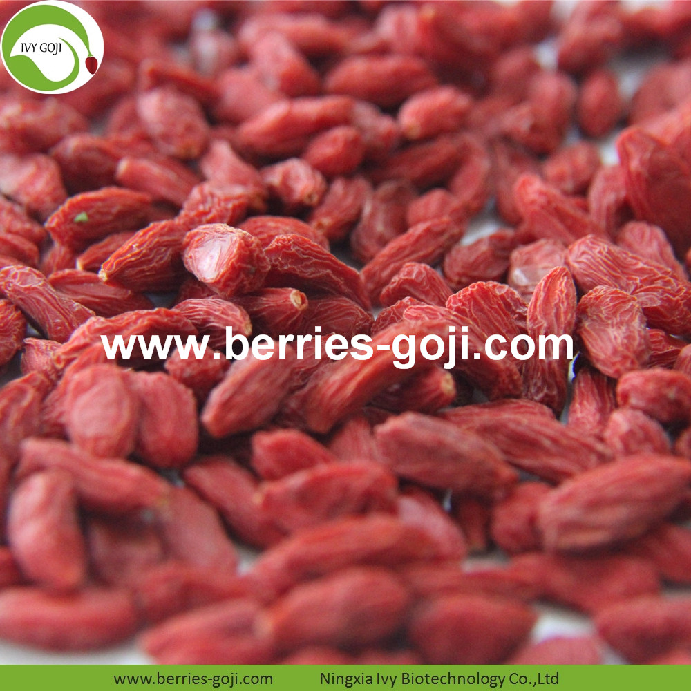 goji berry