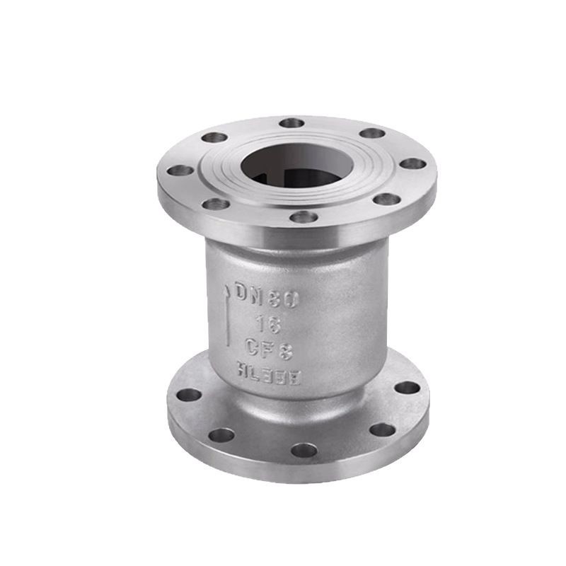 Stainless steel vertical check valve