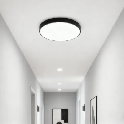LED Ceiling Panel Light