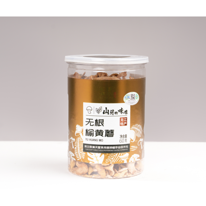 60g de cogumelo amarelo olmo