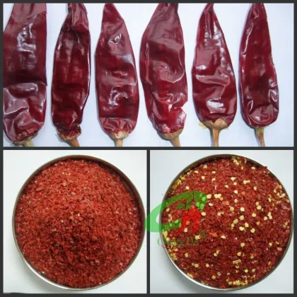 Spices Dried Chili Peppers Wholesale Red paprika Capsicum annuum La jiao Lajiao
