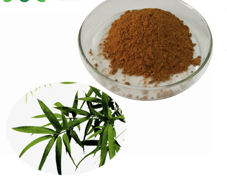 High Quality Bamboo Leaf Extract