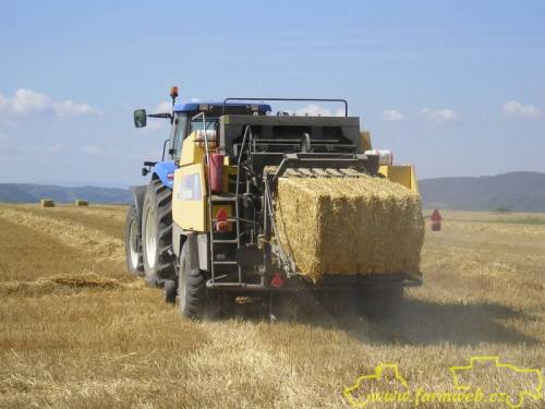 カラフルで安い価格PP Baler Hay Grass Twine