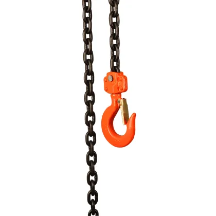 Wholesale Manual Operated 2 Ton Lever Chain Hoist - Portable Lifting Equipment