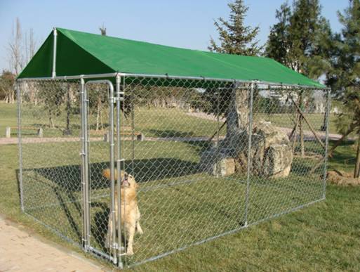 Chain Link Dog Kennel