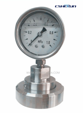 Diaphragm Seal Systems with Pressure Gauge