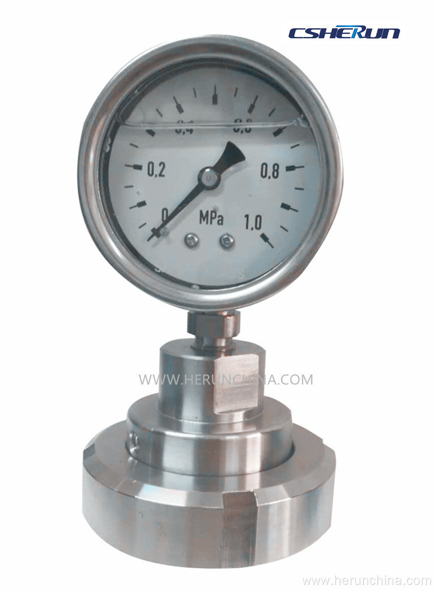 Diaphragm Seal Systems with Pressure Gauge