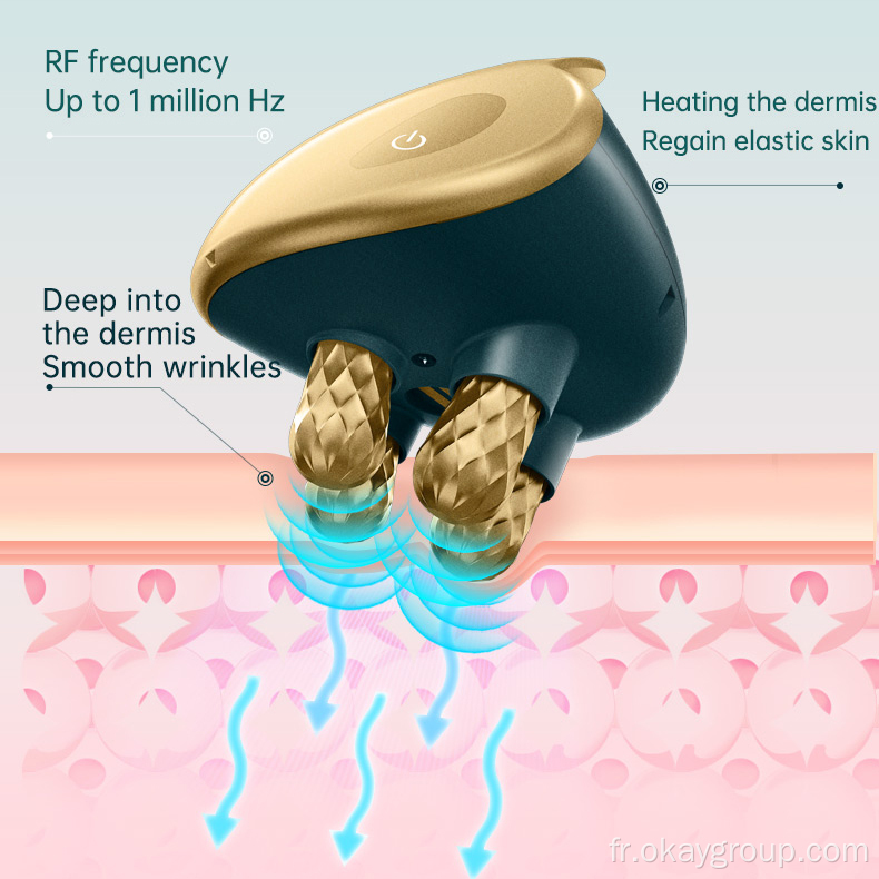 Équipement de physiothérapie de soins de la peau de beauté d&#39;utilisation à la maison de visage