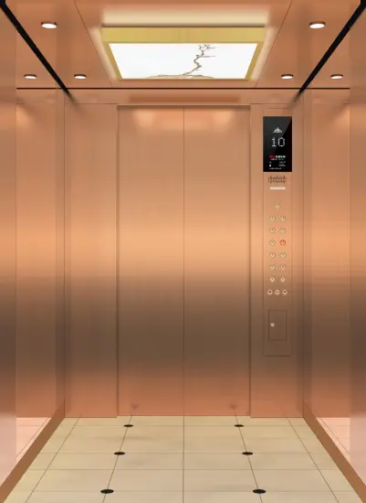 elevator 400kg 4 person small Home Elevator/Villa Elevator lifts
