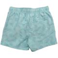 Mint Green Men&#39;s Swim Shorts