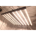 Gran valor 800W 8Bar Luz de cultivo plegable