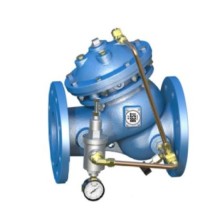 Y type Pressure Relief Valve DN50