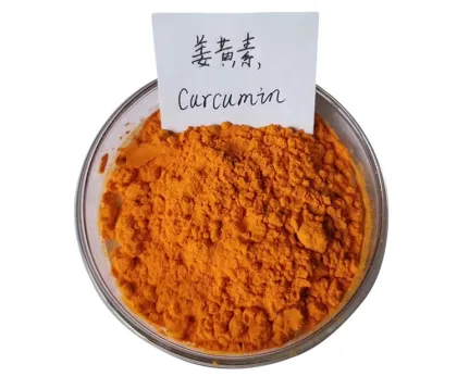 turmeric extract 95% curcumin powder