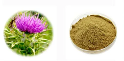 Milk thistle extract powder