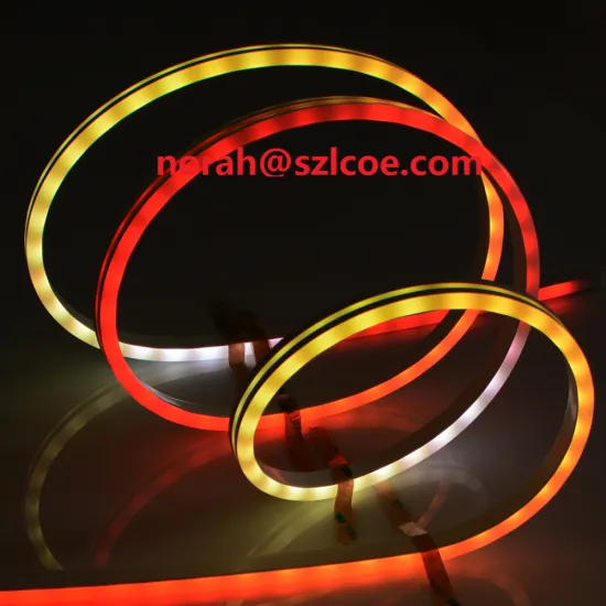 Customize Chasing Changing LC8812B 6X13mm RGB Brilliant 5V LED Flexible Neon Strip Light for Theme Park