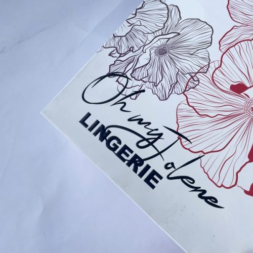 Unique Design Luxury Gift Shopping Ribbon Handle Bag