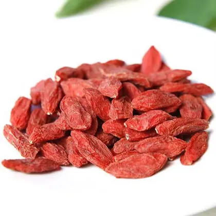 Goji Extract Wolfberry Extract