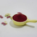 Gefriergetrocknetes Pulver lila Rote Beete