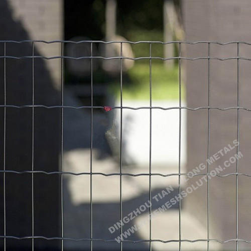 Green Coated Welded Holland Wire Mesh