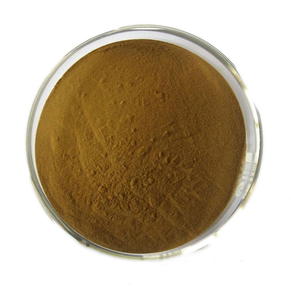 organic echinacea extract powder Bulk