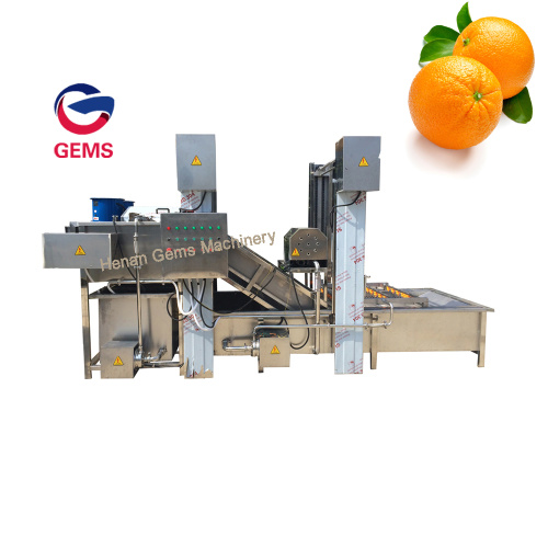 110V Washing Machine Fruit Washing And Waxing Machine