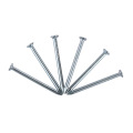 Electro Galvanized Common Nails