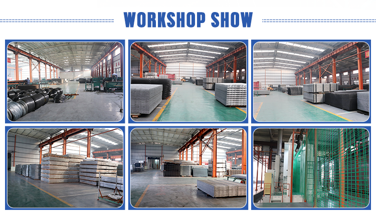 Workshop Show