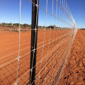 Factory direct sale galvanized field fence
