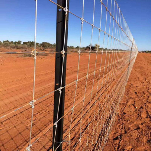 Cerca de campo galvanizado de venda direta da fábrica