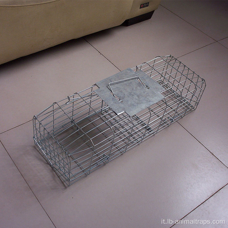 Trova di gabbia Coyote Live Cage Cage Live Coyote Coyote