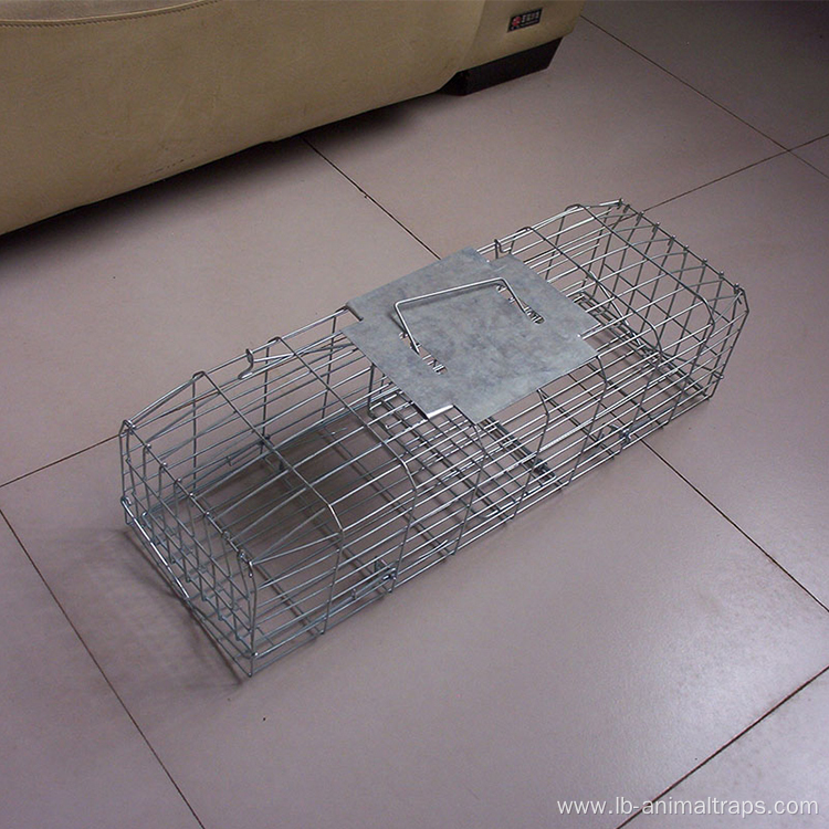 Collapsible Bird Cage Live Coyote Cage Trap