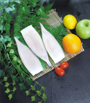 Best Price Frozen Seafood Argentina Illex Squid Catching