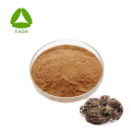 Biflavonoïde selaginella extract amentoflavon 20% poeder