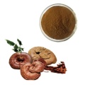 Immune System Man Power Enhance Ganoderma Coffee Powder