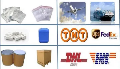 Thunder God Vine Extract Celastrol 98% Tripterine