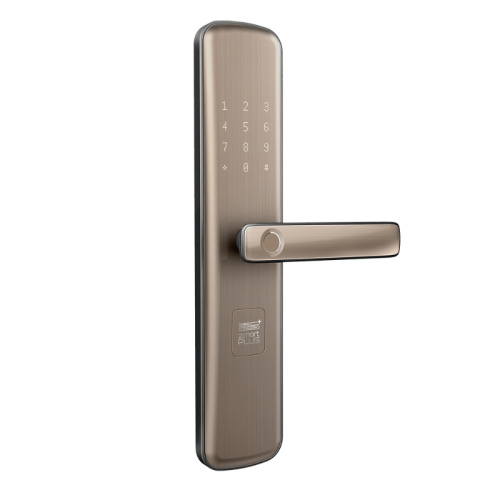 Биометрична домашна сигурност Заключване на вратата