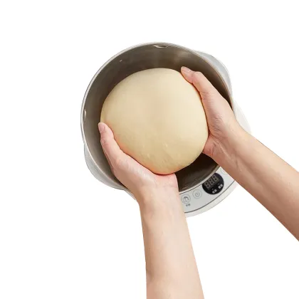 High-Quality 5L Dumpling Bread Dough Kneading Mixer Machine: Perfect for Efficient Baking