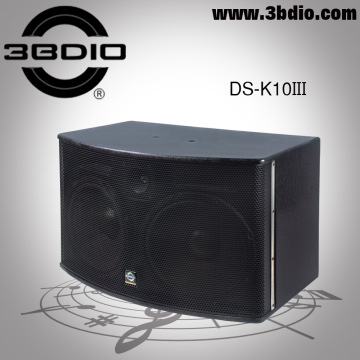 KTV Speaker (DS-K10II)