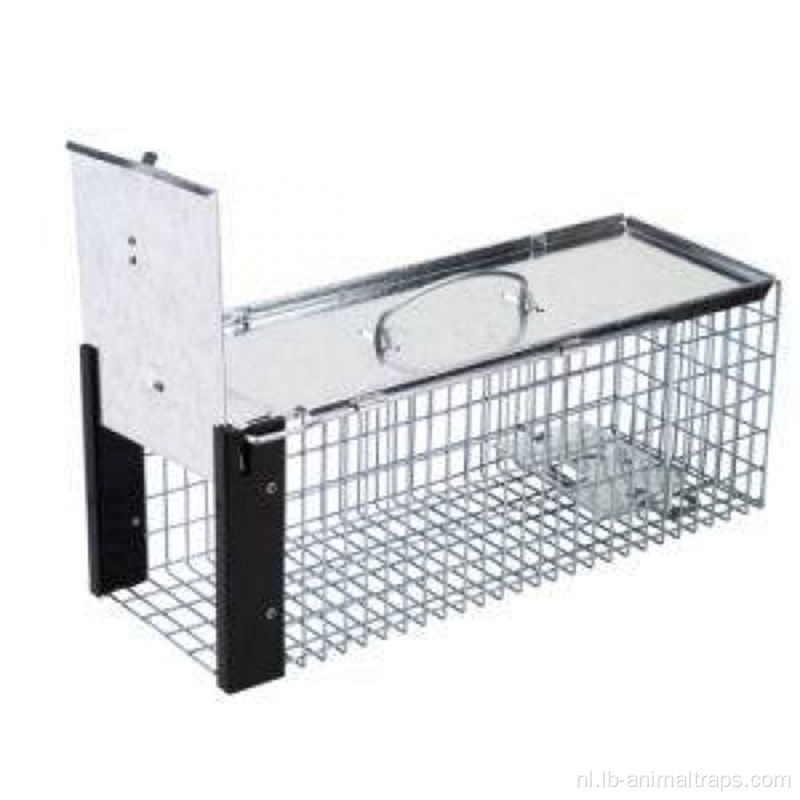Metaal Humane Live Bait Vermin knaagdierkooi