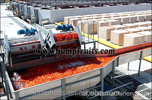 وحدة كاملة من آلة معالجة الطماطم الصناعية