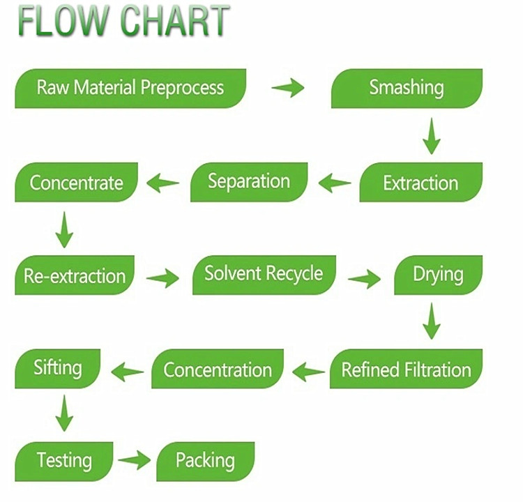 Flow Chart